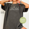 I Can't I'm Busy Growing a Human TShirt, Funny Announcement TShirt